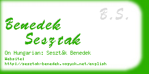benedek sesztak business card